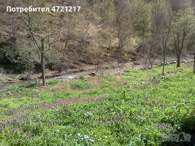 Парцел с лице към Прохода на Републиката, река и планина – с. Пчелиново, снимка 11 - Парцели - 53249355