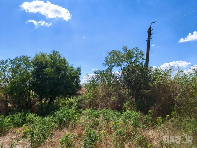 Продава се дворно място 2000м² , снимка 9 - Парцели - 51712104