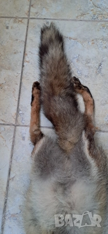 Кожа шал от лисица , снимка 5 - Антикварни и старинни предмети - 52920531