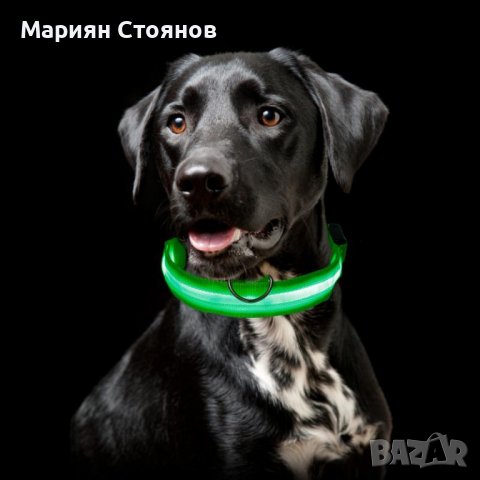 Светещ LED нашийник каишка за куче котка с USB зареждане лед, снимка 7 - Други стоки за животни - 39038682