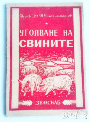 Угояване на свинете Н. Платиканов, снимка 2 - Специализирана литература - 38572627