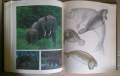 Жизн животнъих Енциклопедия в седем тома на руски език, снимка 2