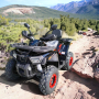 ATV MaxMotors Shark 200CC, снимка 1 - Мотоциклети и мототехника - 44878850