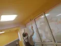 Гипсокартон, Шпакловка, Боядисване, Топлоизолация и Хидроизолация, снимка 3