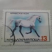 Колекция български пощенски марки с коне 1980 г., снимка 3 - Филателия - 40066681