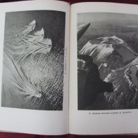 1951г. Книга Изобразителното Майсторство в Фотографията, снимка 16 - Други - 26512134