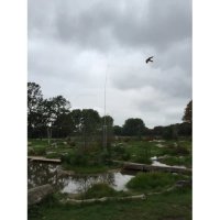 7 метрово телескопично хвърчило - плашило срещу птици, снимка 2 - За птици - 35571311