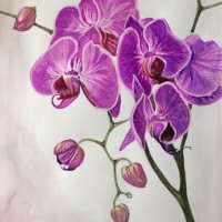 Цикламена орхидея #орхидея #цвете #оригиналнакартина #специалнацена, снимка 1 - Картини - 27807283