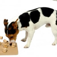НОВИ! Кучешка дъска играчка за интелект от дърво , снимка 3 - За кучета - 29047964