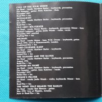 Fire + Ice – 1998 - Seasons Of Ice(Modern Classical,Neofolk), снимка 2 - CD дискове - 42987197