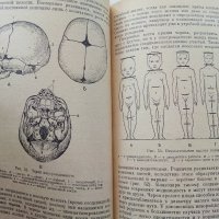 Анатомия Человека - М.Курепикина,Г.Воккен - 1963г. , снимка 4 - Специализирана литература - 39010401