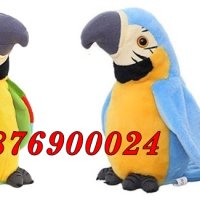 ПРОМО! Музикален пеещ и говорещ папагал Танцуващ кактус Хъги Лъги, снимка 2 - Музикални играчки - 43070241