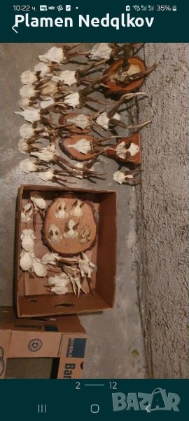 Рога за декорация., снимка 1