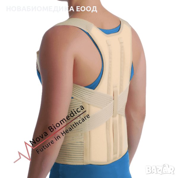 Гръдно – Лумбален корест тип ECONOMY, снимка 1