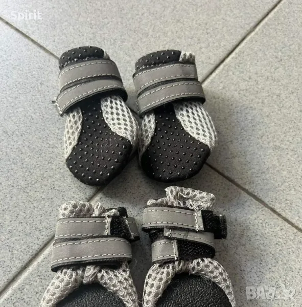 Обувки за мини и дребни породи кучета, снимка 1