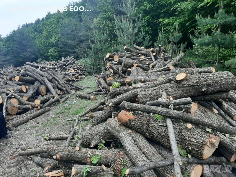 Експресни поръчки до дома Работим всеки ден За регион Пловдив и Пазарджик 105лв  Тел 0892779670, снимка 1