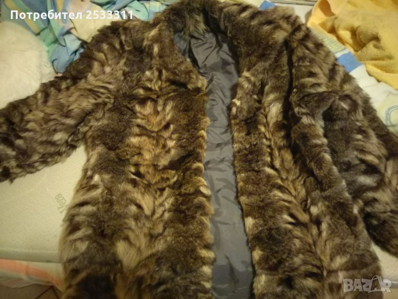 Платенце от сребърна лисица, снимка 1