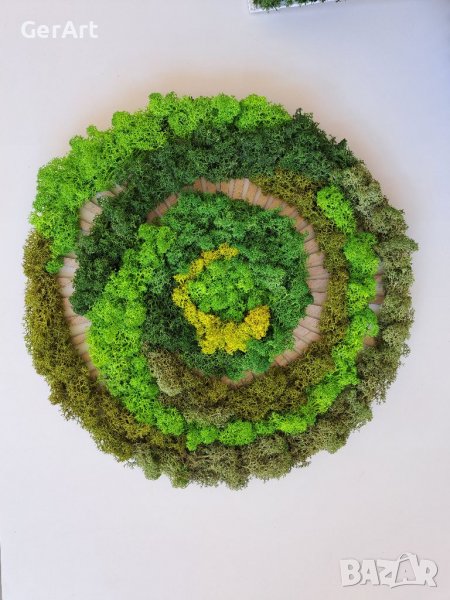 Арт пано "Спиралата на живота" от скандинавски мъх, снимка 1