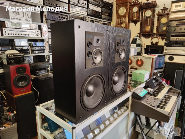 Тонколони Omni Audio 12.3 В перфектно техническо и много добро визуално състояние., снимка 11 - Тонколони - 51831494