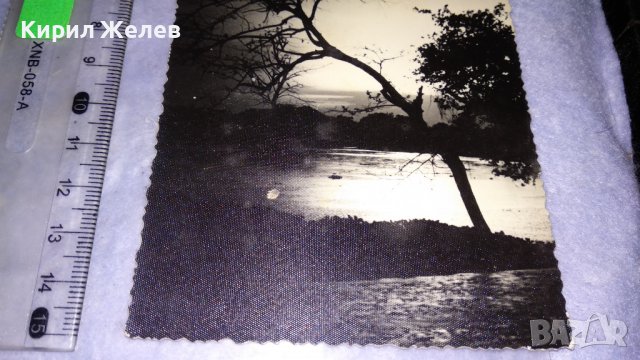 СТАРА МНОГО ЖИВОПИСНА ПОЩЕНСКА КАРТИЧКА ПОЛША ХУДОЖЕСТВЕНА ЧЕРНО-БЯЛА ФОТОГРАФИЯ ПРИРОДА 32448, снимка 6 - Филателия - 38675589