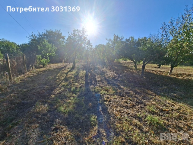 Вила от собственик , снимка 2 - Вили - 51799537