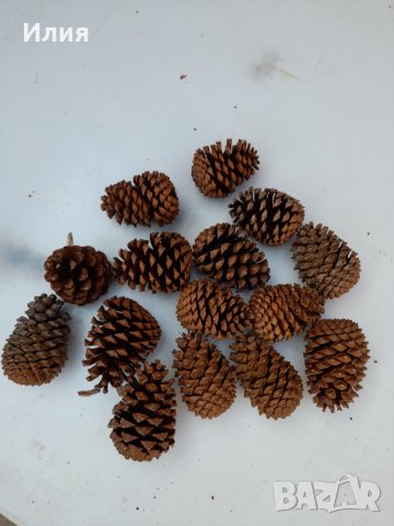 Големи шишарки (от 10 до 17 см) , снимка 15 - Декорация за дома - 38594162