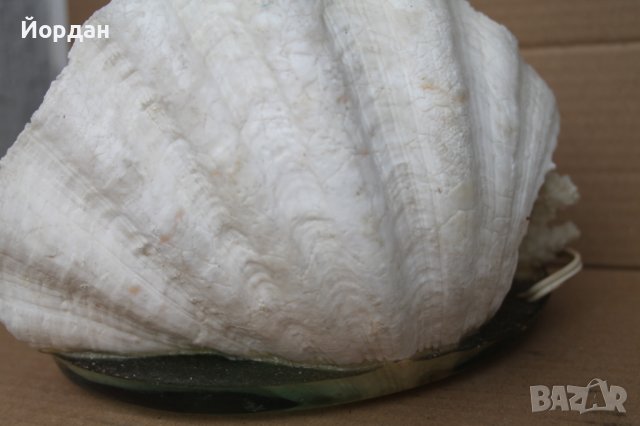 Чудесна нощна лампа, снимка 8 - Настолни лампи - 43534119