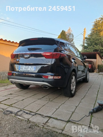 Професионално пастиране, снимка 12 - Пастиране - 45295856