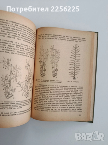 Агротехника на овощните култури, снимка 9 - Специализирана литература - 52466931