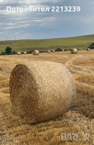 Рулонни бали слама , снимка 2 - За селскостопански - 50704295