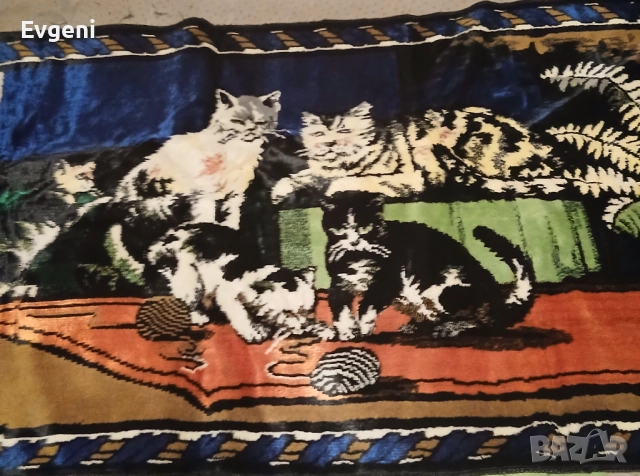 Ковьор с  котки