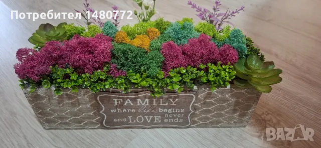 Цветна градинка със скандинавски мъх