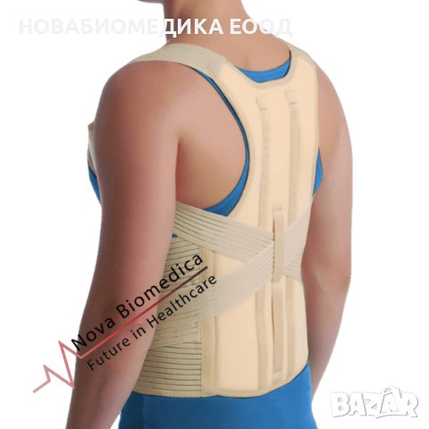 Гръдно – Лумбален корест тип ECONOMY