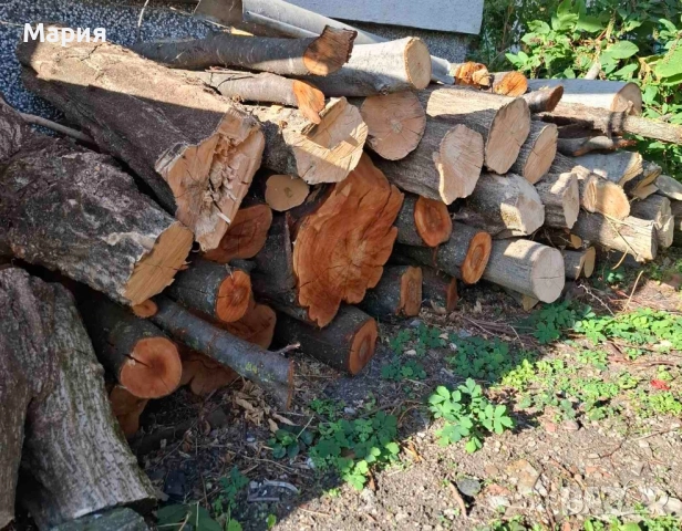 Дърва за огрев , снимка 1
