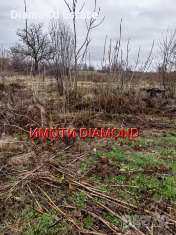 Парцел в село Брод общ. Димитровград, снимка 4 - Парцели - 48207676