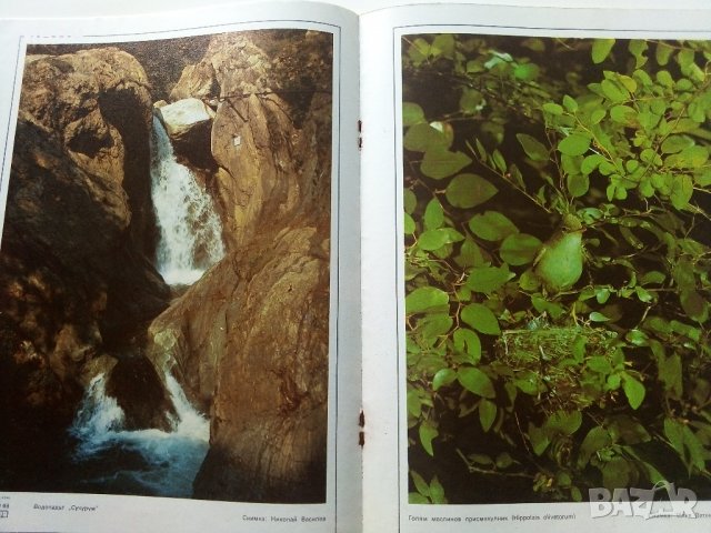 Списание "Защита на природата" - 1986г. - брой 2, снимка 7 - Списания и комикси - 36682765