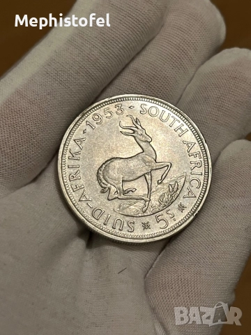 5 шилинга 1953 г, Южна Африка / Британска империя - сребърна монета, снимка 4 - Нумизматика и бонистика - 52806790