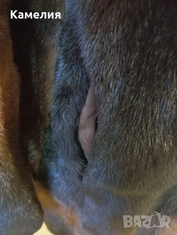 Палто от норка , снимка 8 - Палта, манта - 53350046