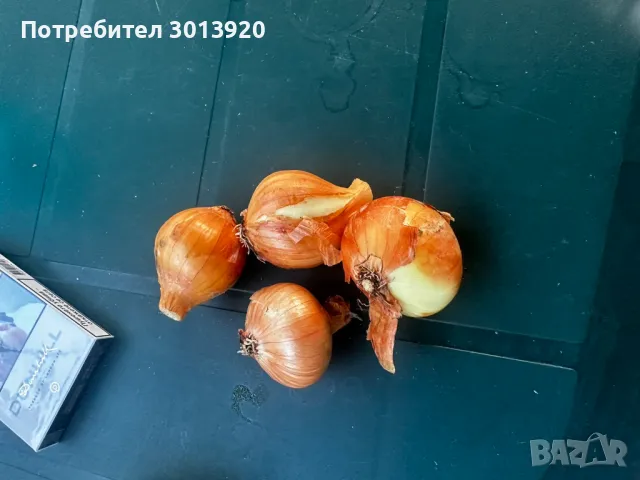 Арпаджик, Арпаджикова Балучка и Черно Семе– сорт “Лясковски“, снимка 3 - Сортови семена и луковици - 48344183