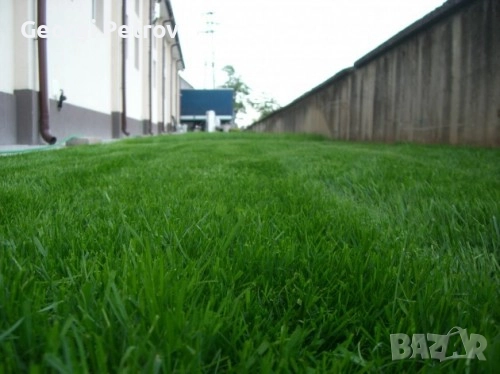 Биотор ( хумус ) за градина от Калифорнийски червей , снимка 5 - Тор и почвени смеси - 52102277