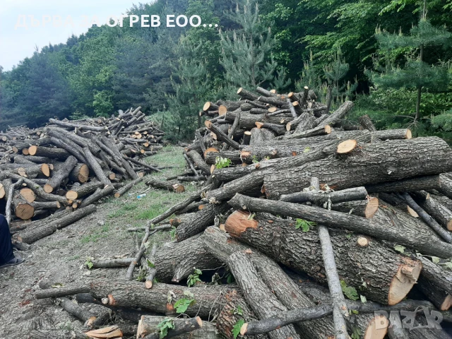 Експресни поръчки до дома Работим всеки ден За регион Пловдив и Пазарджик 105лв  Тел 0892779670