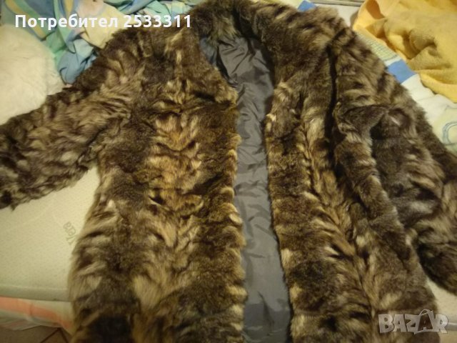 Платенце от сребърна лисица