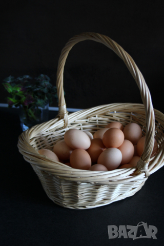 Домашни Яйца 0.50ст./бр