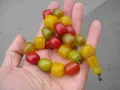 СТАРА БРОЕНИЦА БАКЕЛИТ КЕХЛИБАР КАТАЛИН , снимка 2