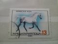 Колекция български пощенски марки с коне 1980 г., снимка 3