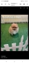 pomerani, снимка 1