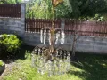 старинен кристален полилей, снимка 4