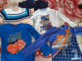 Блузки с дълъг ръкав, тениски, потници, боксерки , снимка 1 - Детски Блузи и туники - 40319931