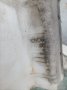 Казанче чистачки със помпичка за Тойота Ярис Версо. 2000 год., снимка 6