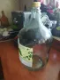 5L-ДАМАДЖАНА///СТЪКЛЕНО ПРАЗНО ШИШЕ ЗА РАКИЯ/ВИНО 0205251422, снимка 7